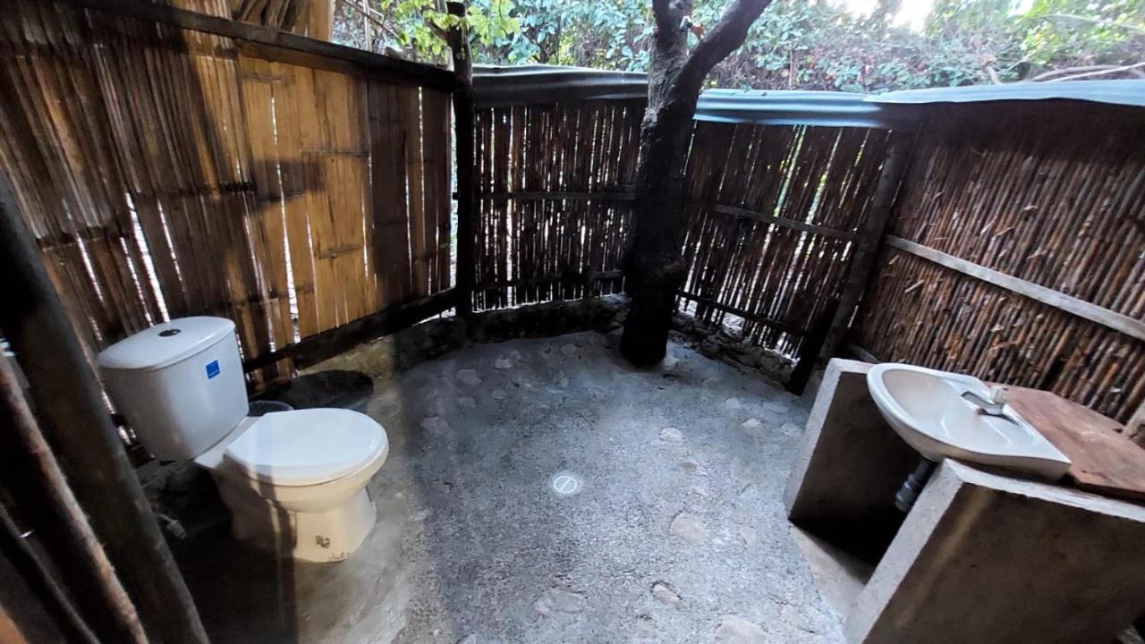 Auroa Palomino Hotel Bagian luar foto