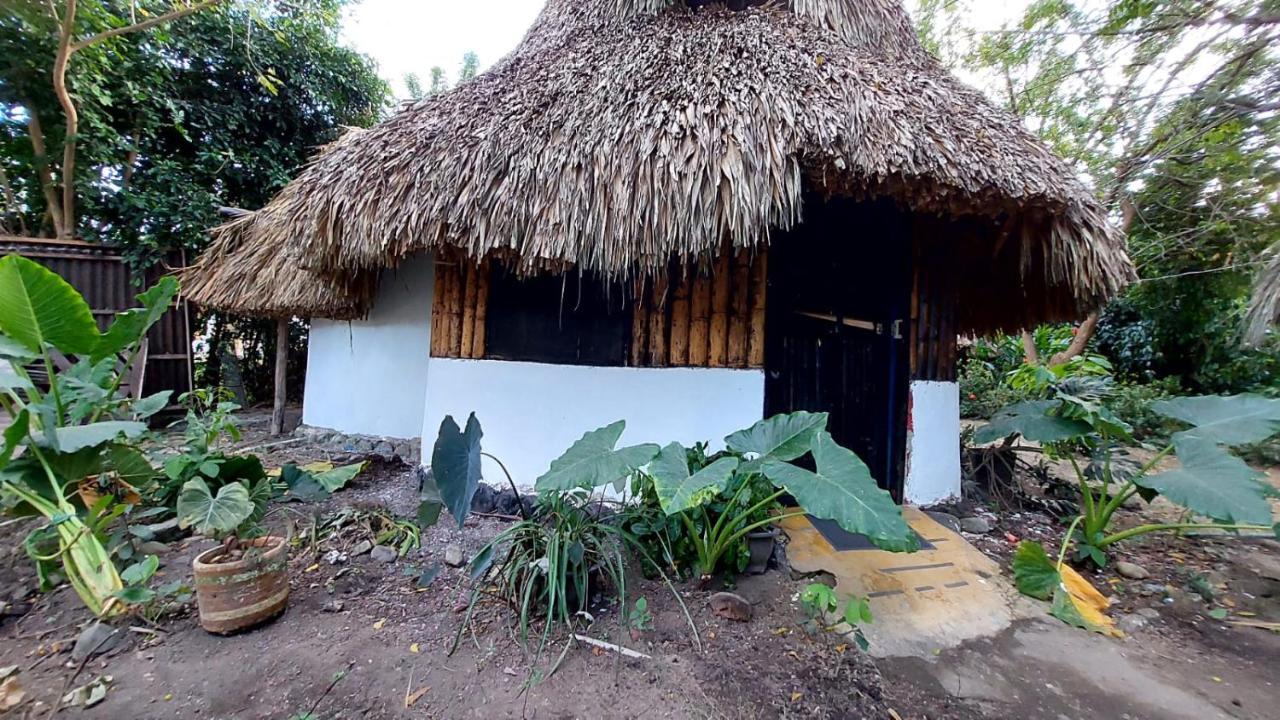 Auroa Palomino Hotel Bagian luar foto