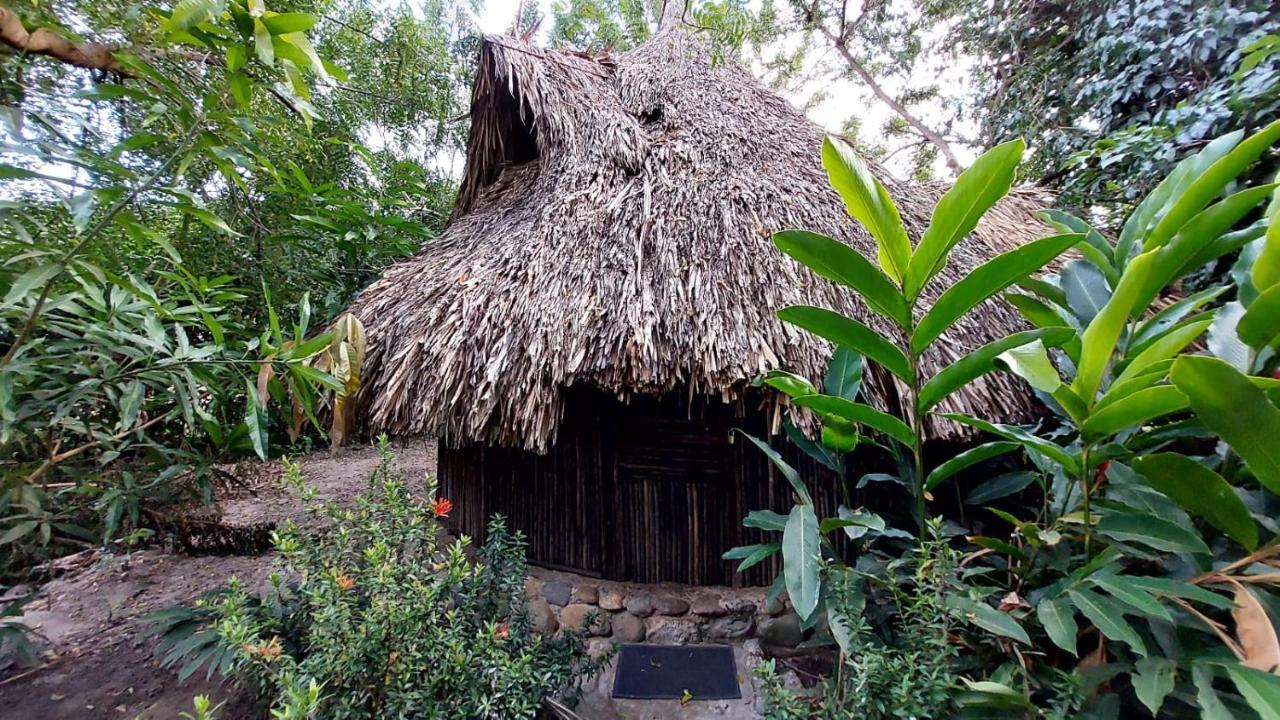 Auroa Palomino Hotel Bagian luar foto
