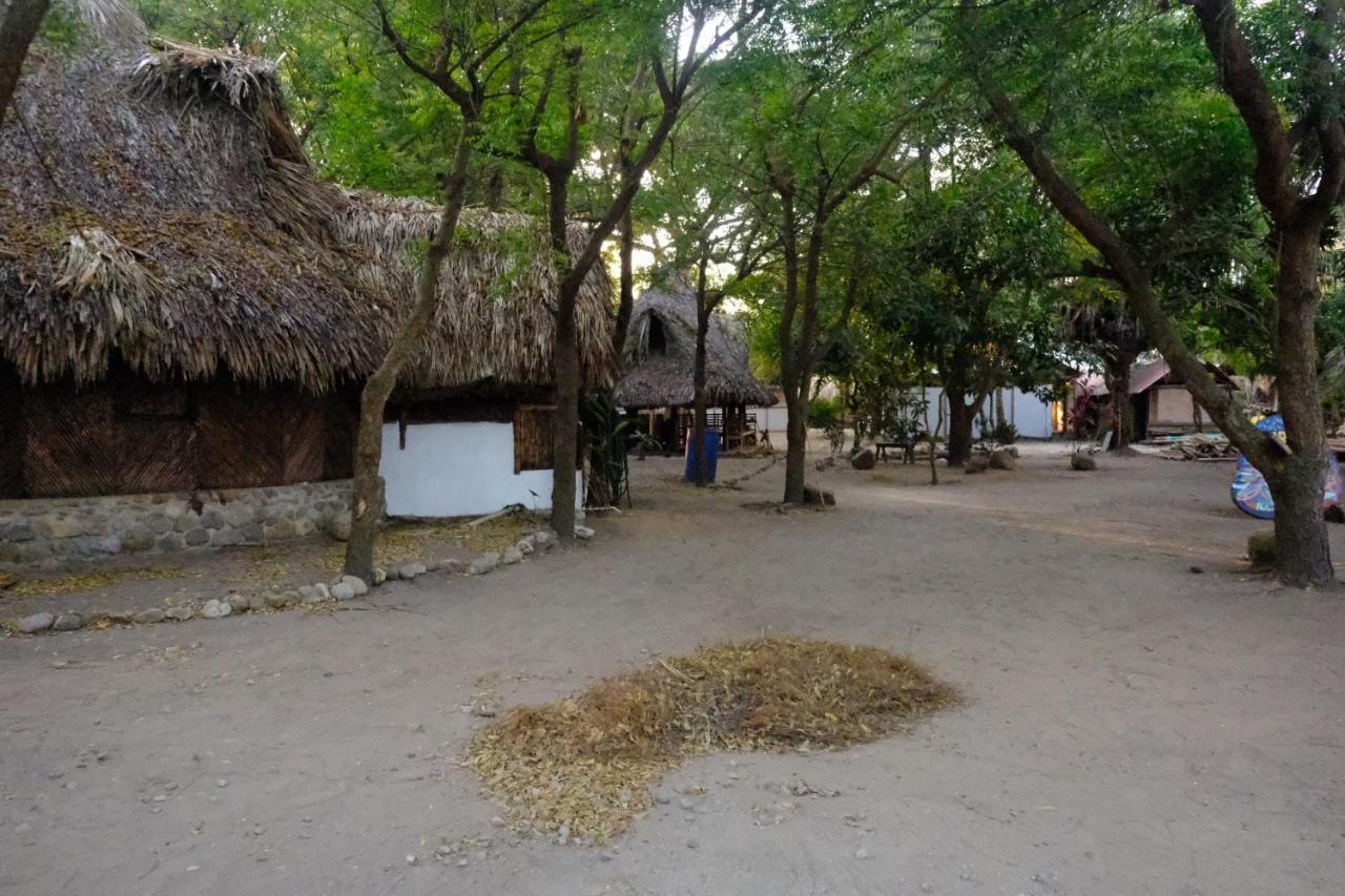 Auroa Palomino Hotel Bagian luar foto