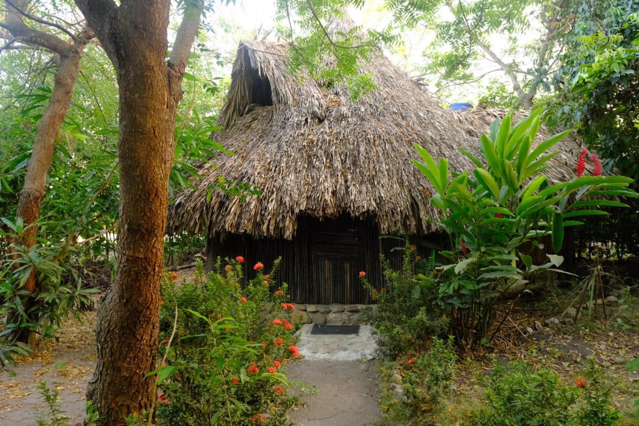 Auroa Palomino Hotel Bagian luar foto