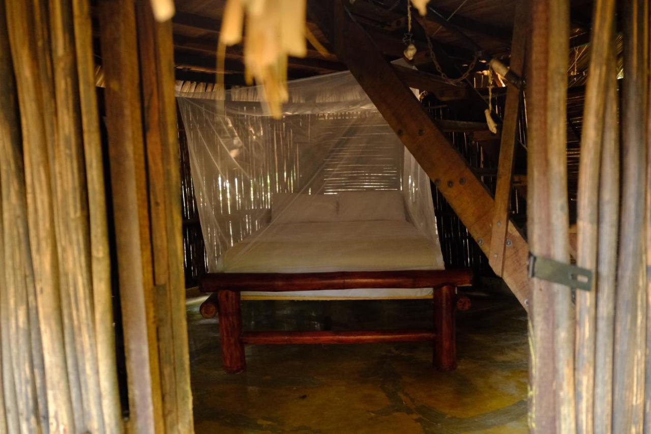 Auroa Palomino Hotel Bagian luar foto