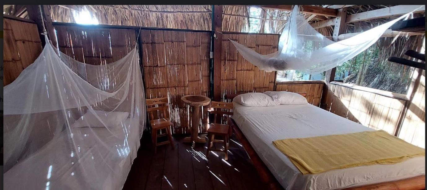 Auroa Palomino Hotel Bagian luar foto